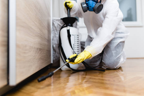 Pest Control for Restaurants in Hamilton, IN
