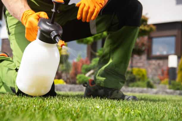 Professional Pest Control in Hamilton, IN