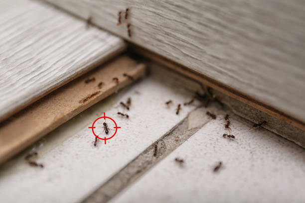 Pest Control Cost in Hamilton, IN