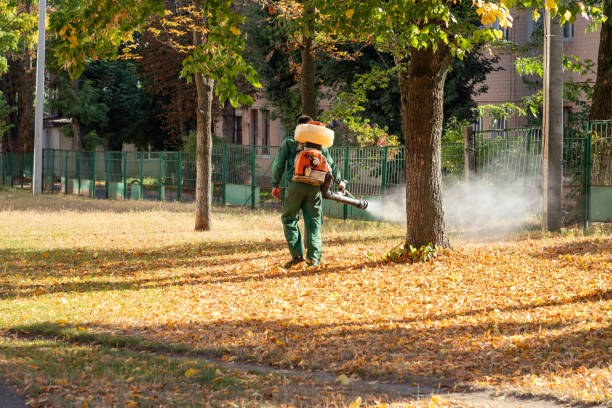 Best Cockroach Control Services  in Hamilton, IN