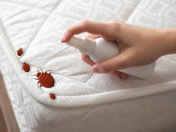 Best Local Pest Control Services  in Hamilton, IN