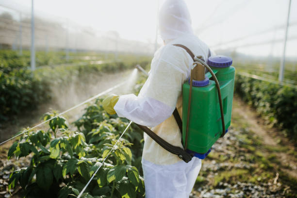 Best Pest Control Near Me  in Hamilton, IN